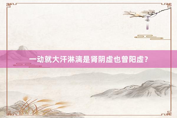 一动就大汗淋漓是肾阴虚也曾阳虚？