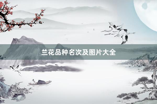 兰花品种名次及图片大全